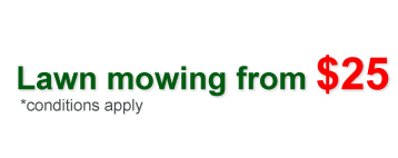 Lawn Mowing from $25